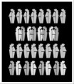 /album/galerij-prints/poster-4-jpg1/